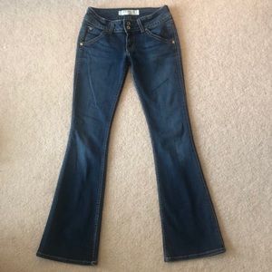 Hudson Flare Jeans